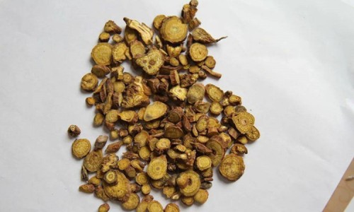 鹿茸注射液说明书网 - 网站提供鹿茸注射作用与功效小常识、注射用鹿茸精