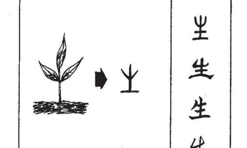 鹿茸注射剂的功效与作用及禁忌-鹿茸注射液说明书网 - 网站提供鹿茸注射作用与功效小常识、注射用鹿茸精